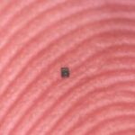 Profile picture of Ad